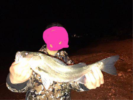 久々のシーバス！