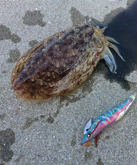 危うく坊主！何とか１杯GETできました