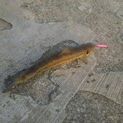 なかなか思い通りには