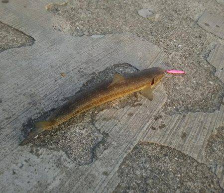 なかなか思い通りには