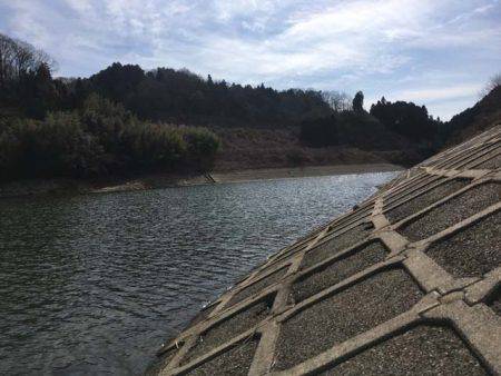 上津ダムのワカサギ、ラストスパート入りか