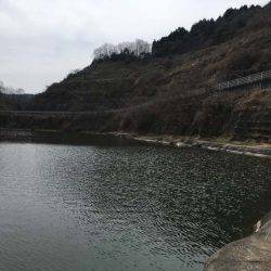 布目ダムのワカサギ、焼却場は渋め