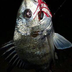 気温上昇体温上昇テンション上昇