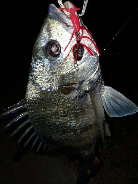 気温上昇体温上昇テンション上昇