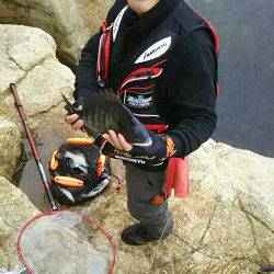 チヌバトル予選！