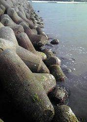 穴釣りのちメバリング