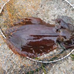 それはズルい！