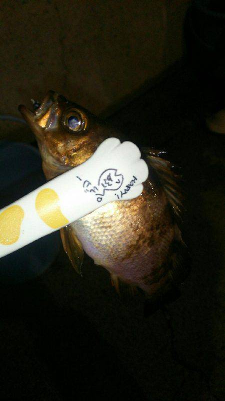 淡路島観光ホテルさんに行って来ました。