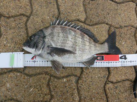 釣れれば、いいじゃん！