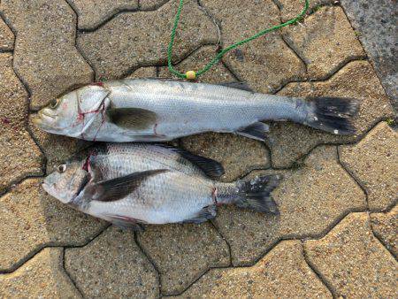 本命キタコレ！！