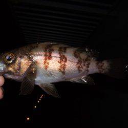 自作ロッドホルダー