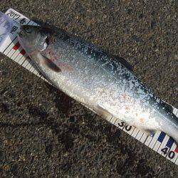 鳥取遠征。1日目