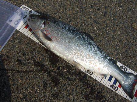 鳥取遠征。１日目