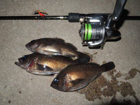 小さいながらも反応出て来ました。