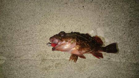 メバリングのつもり