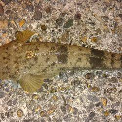 ニューロッドにて