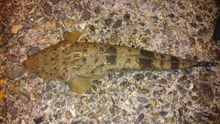 ニューロッドにて