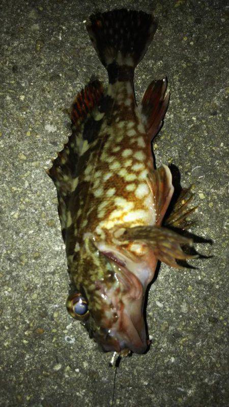 昨日と同じなのに