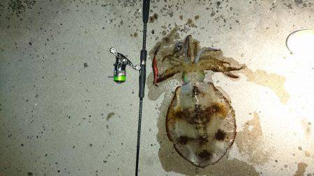 ちょっとびっくり‼