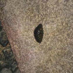 江井ヶ島にて延長戦！