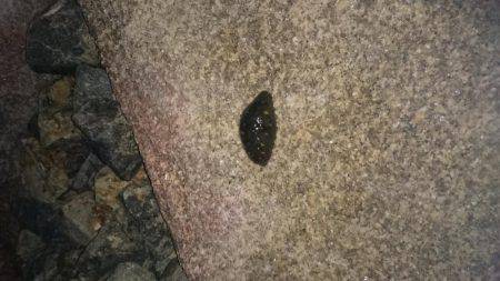 江井ヶ島にて延長戦！