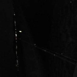 メバルはどこ？