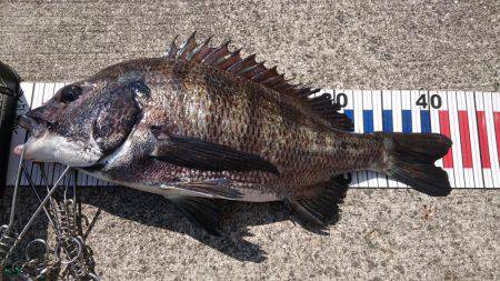 強風の西宮ケーソン