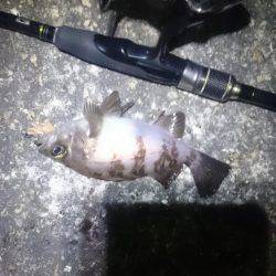 風があろうが。