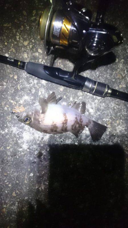 風があろうが。