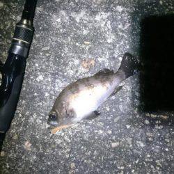 よくなってきたかな?