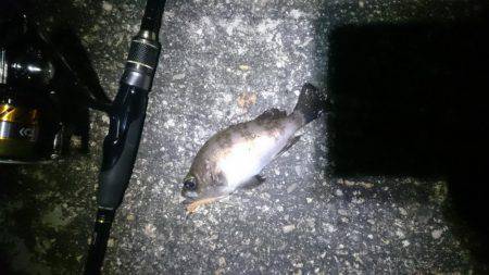 よくなってきたかな？