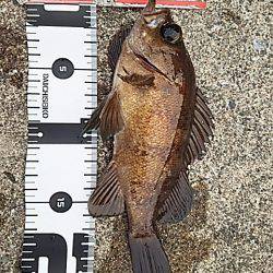 なかなか難しい