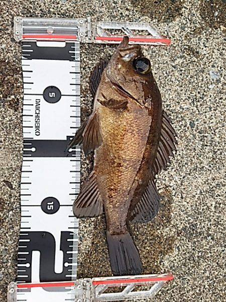 なかなか難しい