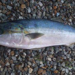 ショアジギング釣行