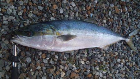 ショアジギング釣行