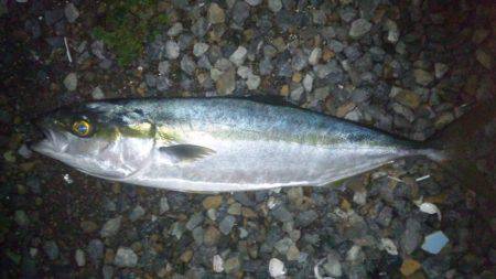 ショアジギング釣行