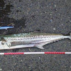 今だけの特別な時間