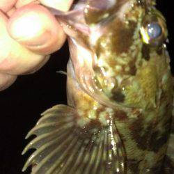 型は選べない？