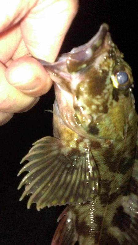 型は選べない？