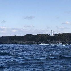 シマアジ求めて