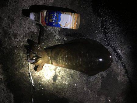 どこも人が多い！