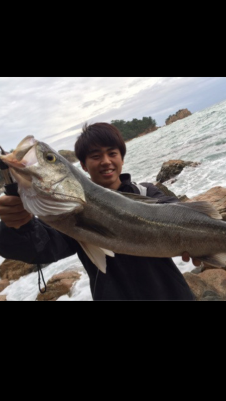 意外な場所で磯マル