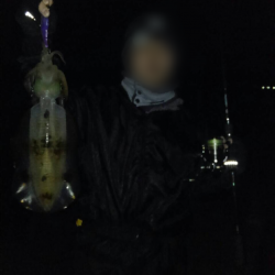 仕事終わりの回遊待ち