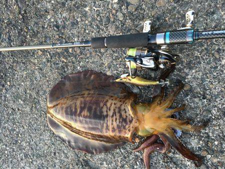 仕事終わりパート2