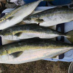 ジギング青物！