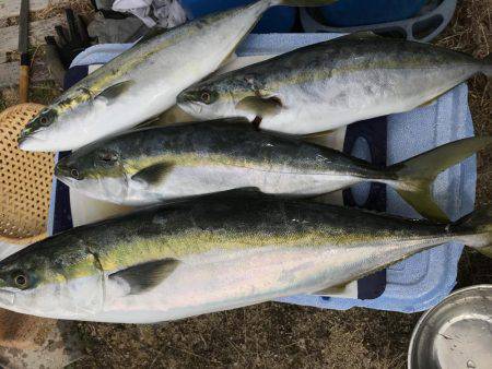 ジギング青物！