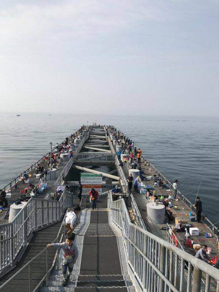 子供とトットパーク釣行