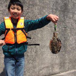 初コウイカゲット