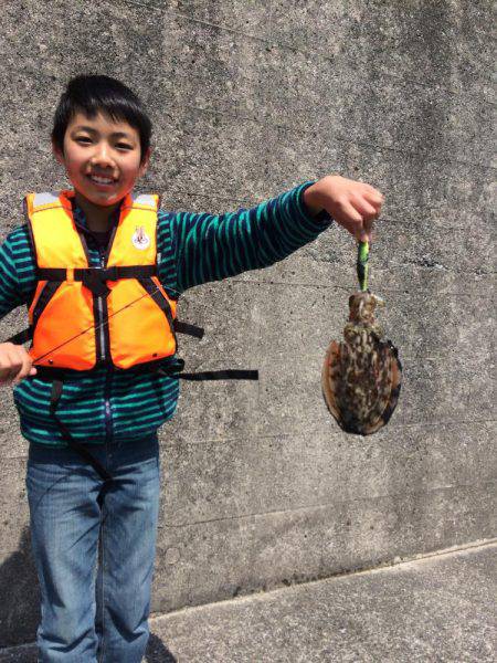 初コウイカゲット