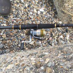 2017 釣り部活動開始です。